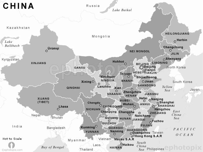 図中の黒と白